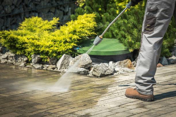 Best Sidewalk and Walkway Cleaning  in Meadow Vista, CA